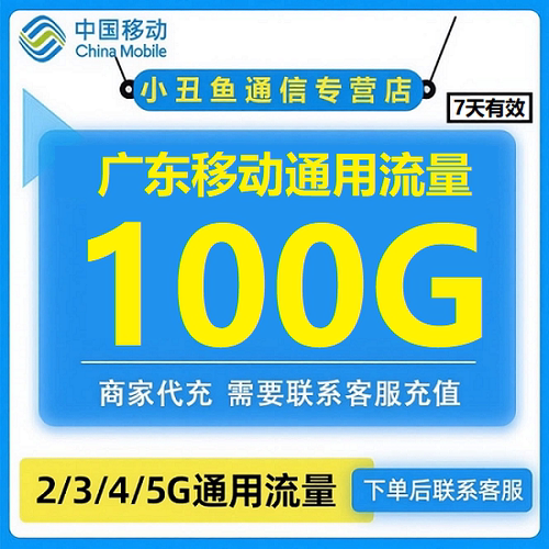 广东移动流量充值100GB流量包