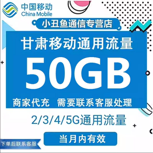 甘肃移动手机流量充值50GB当月有效3/4/5G通用国内流量加油包