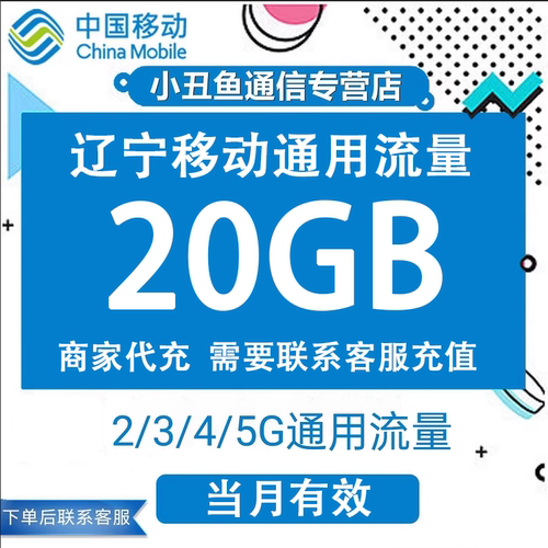 辽宁移动流量充值20GB流量包叠加包2/3/4/5G全国通用流量当月有效