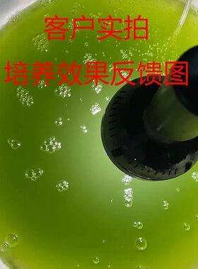 淡水绿水小球藻浓缩藻种水产养殖养鱼养龟净化水质等鱼苗开口肥水