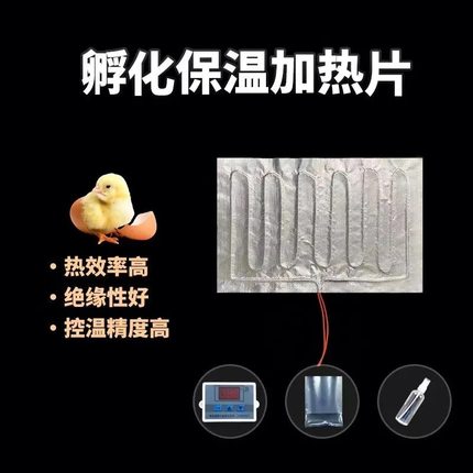 自制水床孵化器专用加热垫配件养殖保温加热片自动控温电热板热片