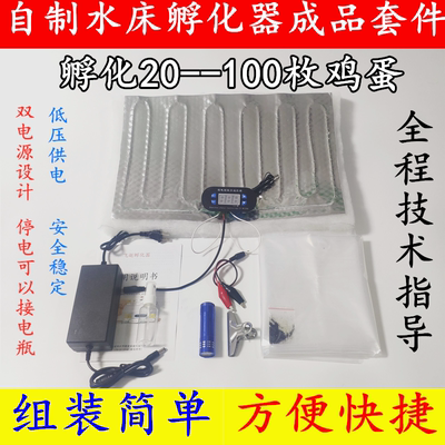 水床孵化器全套配件自制家用小型