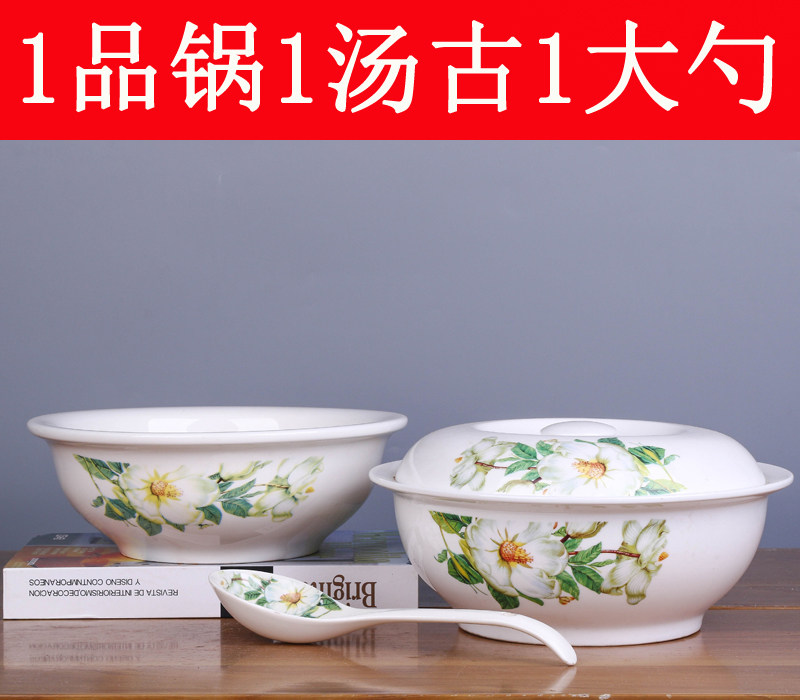 2汤碗送大勺家用可微波炉带盖