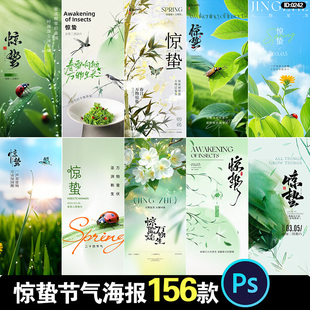 24二十四节气惊蛰中国风创意节日价值点宣传海报PSD模板设计素材