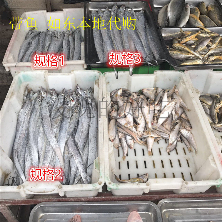 如东本港带鱼生鲜新鲜浆带鱼江带鱼南通如东特产1斤半量
