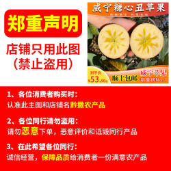 贵州威宁苹果正宗贵州高山丑苹果红富士冰糖心多汁酥脆霜降苹果