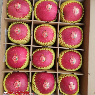 甘肃静宁红富士酸脆甜果农直发