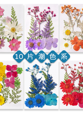 押花混合干花树叶包DIY压花真花植物标本亲子手工滴胶干花材料包