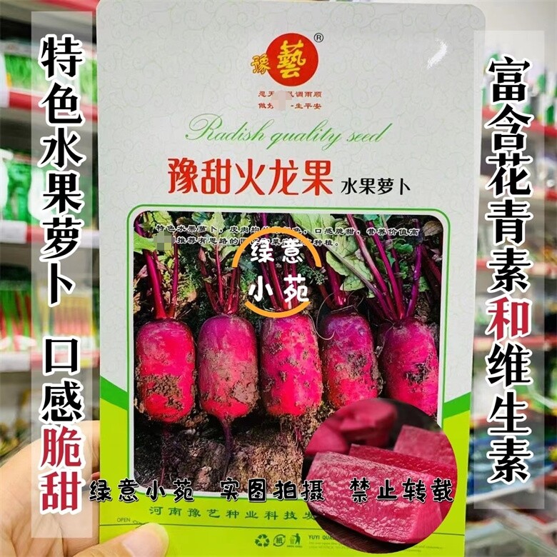 火龙果水果萝卜种孑甜脆 凤梨萝卜种籽 正宗种子红心脆甜含花青素