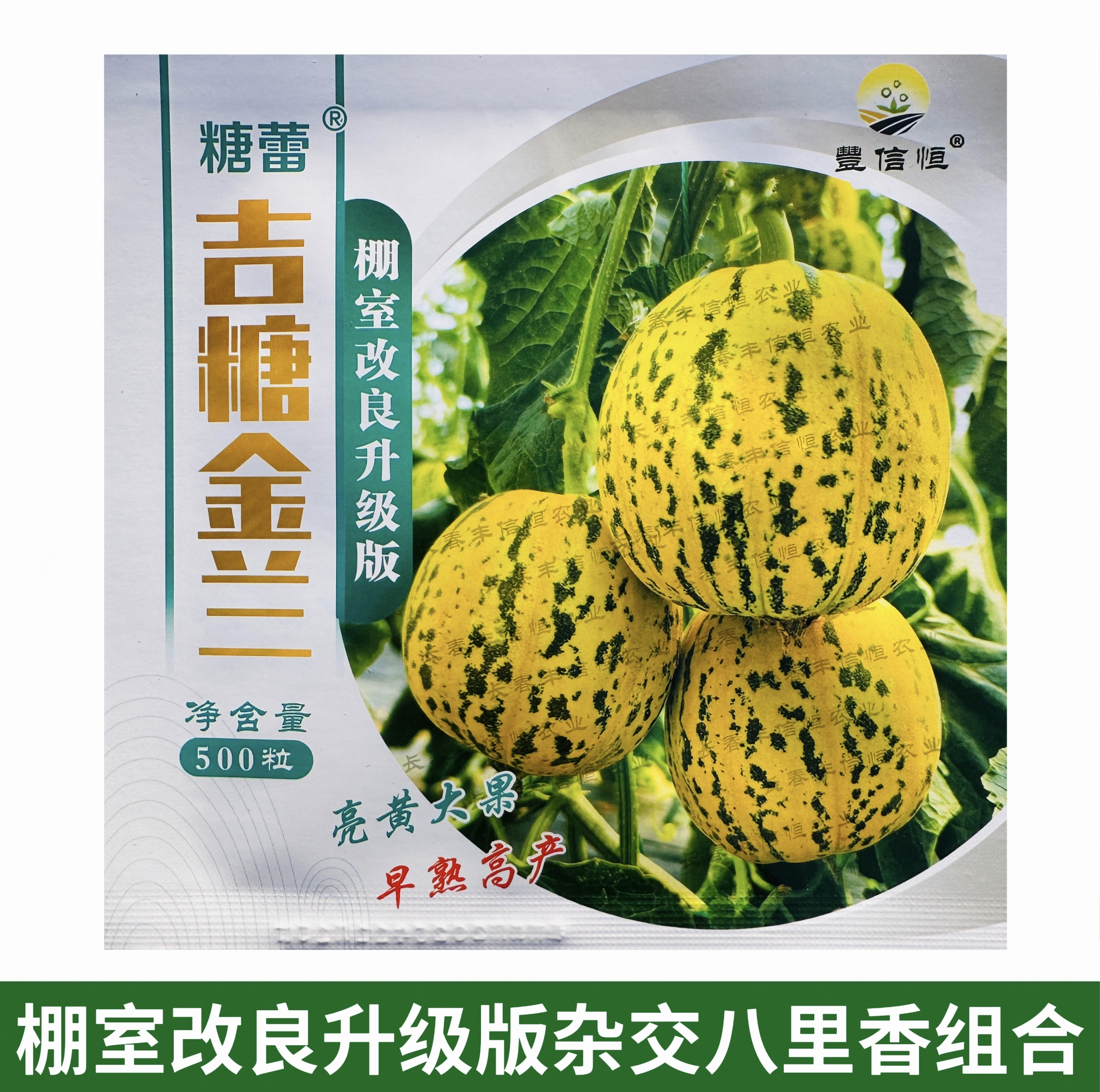 丰信恒吉糖金兰甜瓜种子升级棚室改良超甜杂交八里香甜瓜种籽绿肉