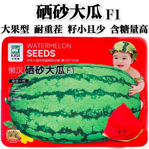 懒汉硒砂大瓜种子大果耐重茬硒砂瓜种孑高糖质脆甘甜籽小西瓜种籽