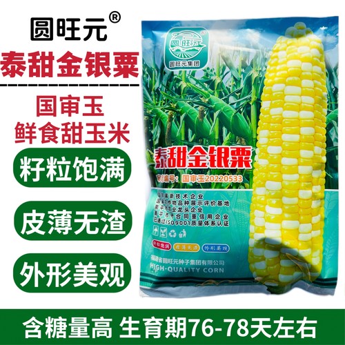 圆旺元泰甜金银粟双色甜玉米种子超甜水果玉米种子皮薄无渣大棒