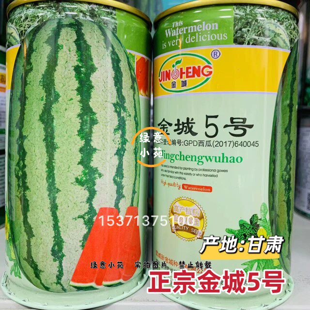正宗甘肃金城五号西瓜种籽抗病露地 椭圆形硒砂瓜金城5号西瓜种孑