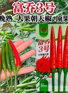 南方热销辣椒富乔3号朝天椒种子泰国大果型朝天椒种籽亮红顶果大