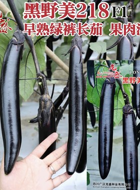 黑野美218绿裤长茄种子油黑靓丽果肉淡绿黑茄子长条茄种籽春秋季