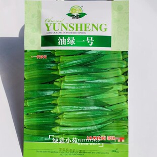 水果秋葵一代杂交种子油绿黄秋葵种籽蔬菜咖啡黄葵种菜农专用种孑