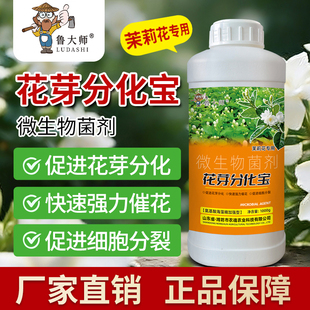 茉莉花芽分化宝花卉瓜果催芽促花催花爆花增产增收复合肥水溶肥料