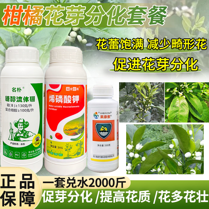 柑橘花芽分化套餐叶面肥