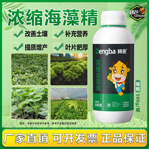 耕芭浓缩海藻精生根调生长