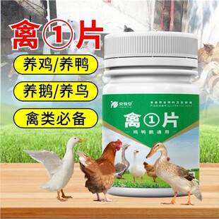 奕牧堂禽片鸡鸭鹅鸽子鹌鹑禽类养殖通用饲料添加剂厂家直发
