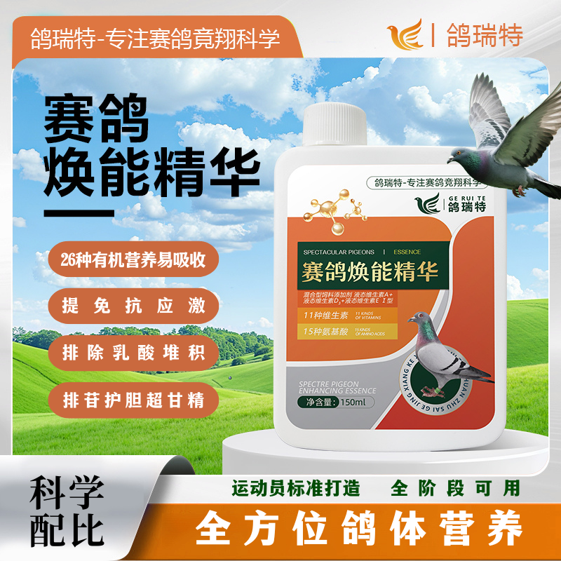赛鸽焕能精华迅速回能排机酸