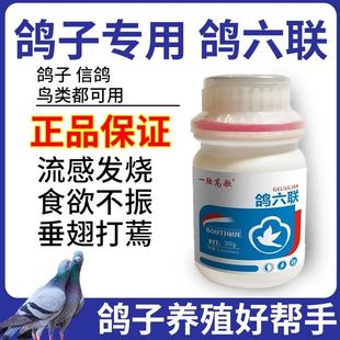 一陆高歌 鸽六联 鸽子营养肉鸽赛鸽信鸽宠物鸽子家常备通用.正品