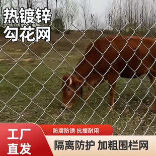 内蒙防锈镀锌围栏网钢丝网护栏网家用养殖场牛羊鸡圈菜地果园防护