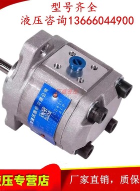 新款合肥长源液压齿轮泵CBW-F304 F306 F310-ALPL AFPL CLPL 现货