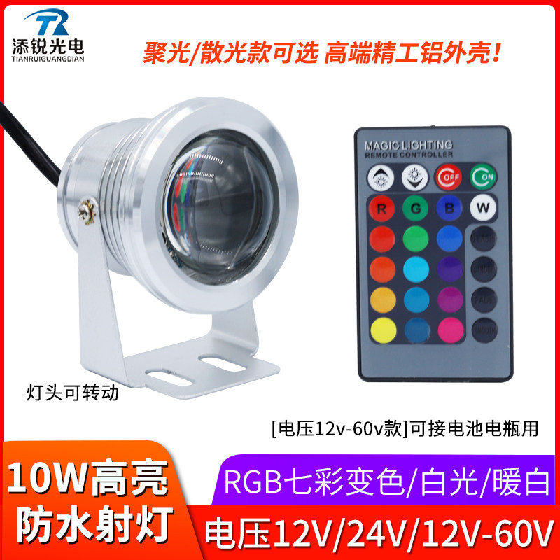 防水led射灯12V24V60V电池电瓶聚光灯10W超亮RGB公园灯庭院景观灯