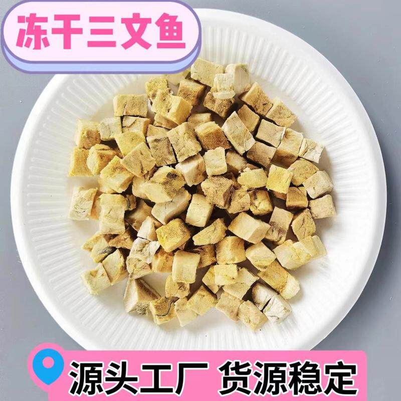 冻干纯三文鱼颗粒猫咪狗狗美味营养健康宠物零食猫粮互动纯小鱼干