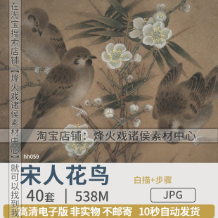 宋人花鸟小品工笔国画线描白描上色步骤图高清图片临摹学习素材