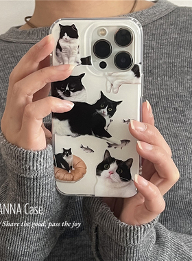 ANNACASE小众ins风搞怪抓鱼黑色猫咪适用苹果16promax手机壳iphone16全包13pro新款15软壳14promax防摔保护套