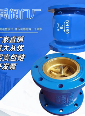 消声止回阀单向阀逆止阀立式止回阀HC41X DN6580100125150200250