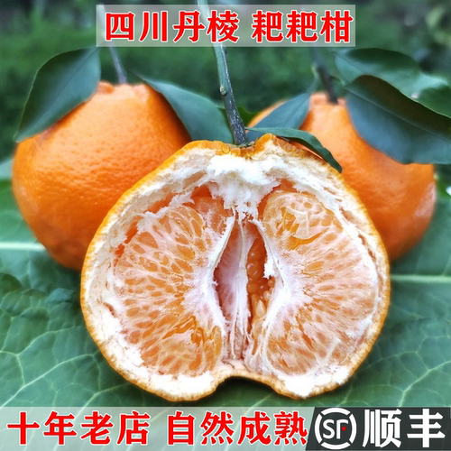 高品质耙耙柑超甜现摘新鲜水果