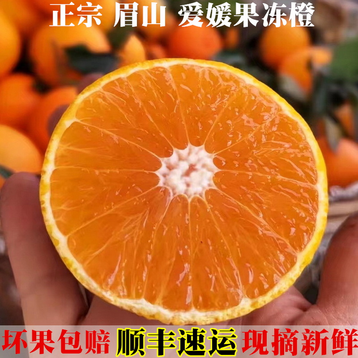 果冻橙红美人橘子爱媛橙橙子水果