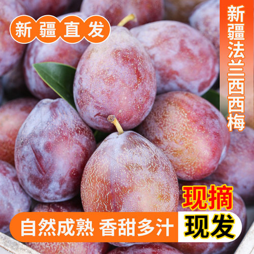 【新疆直发】法兰西西梅