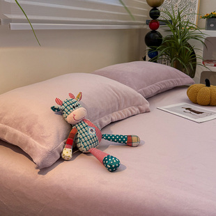 冬季 珊瑚绒枕头套48cmx74cm单个学生枕芯套 加厚牛奶绒枕套一对装