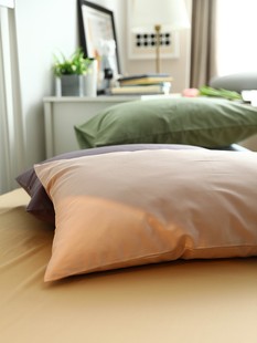 全棉纯棉枕头套100支长绒棉贡缎枕套一只装 枕芯内胆套48cmX74cm