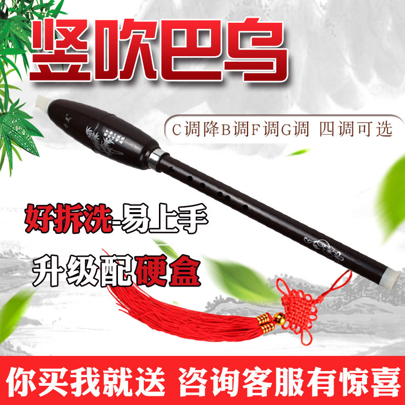 巴乌儿童学生初学练习演奏紫檀色C调降B调G调F调防锈竖吹巴乌