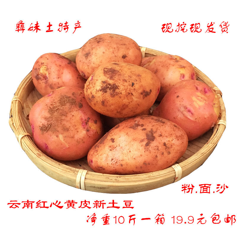 土豆云南黄心红皮洋芋10斤净重现挖农家大土豆马铃薯新鲜土豆包邮
