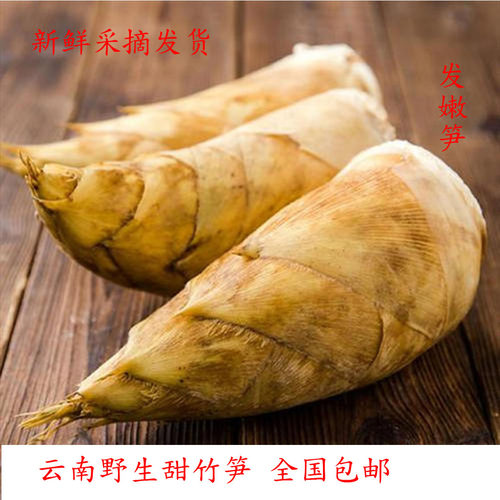 甜笋特产蔬菜现货现挖