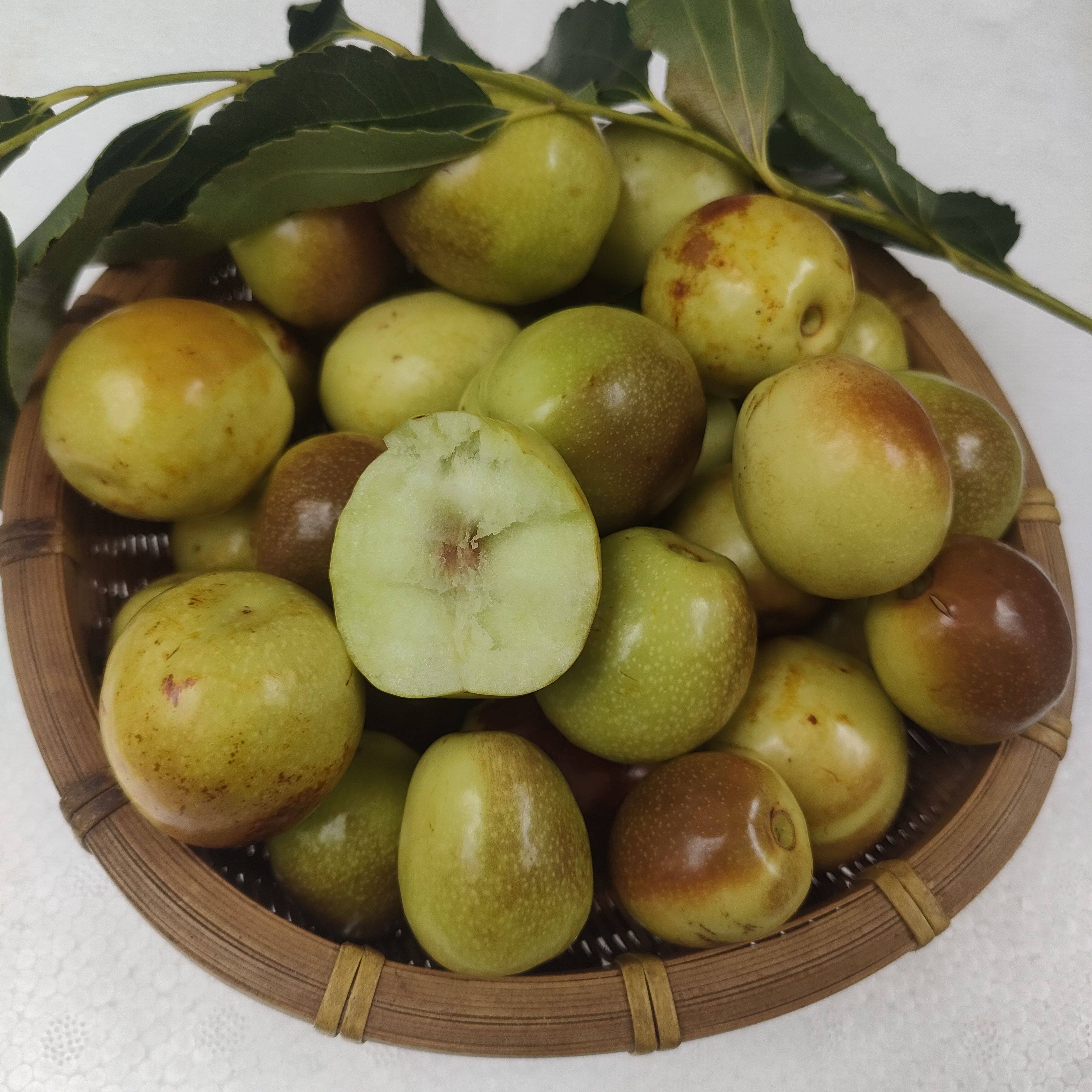 枣子云南冰糖枣蜜枣青枣脆枣甜枣时令水果农户种植2斤包邮