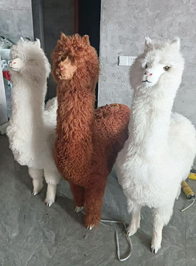 一比一仿真羊驼模型展厅摆件
