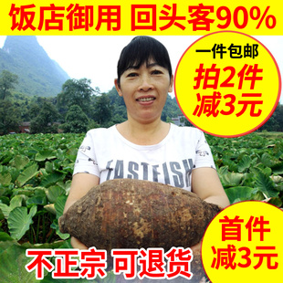 新鲜槟榔香芋生鲜10斤特大号 正宗广西特产荔浦芋头 10斤3个