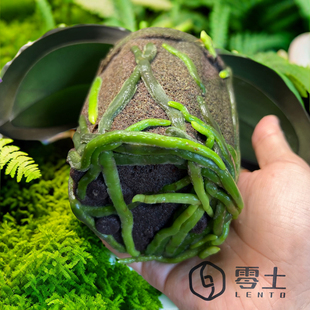 【碳棉种植杯】兰花热植育苗种植块营养土基质兰花植料碳棉种植杯
