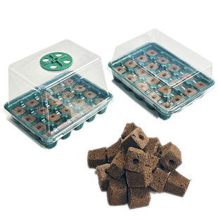 水培育苗盒无土栽培保温保湿种子发芽生长研学播种盆花卉植物扦插