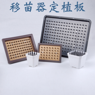 番杏科移苗器定植点播板插苗栽苗神器肉锥生石花种植整齐打洞工具