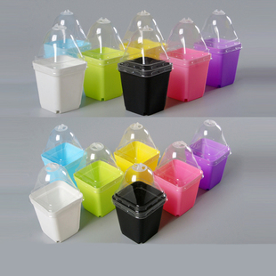 小黑方盆普通七方塑料方形花盆播种育苗叶插扦插保温保湿带盖御寒