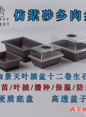 仿紫砂盆植物育苗盆塑料播种盆花卉多肉番杏科生石花盆景天科叶插