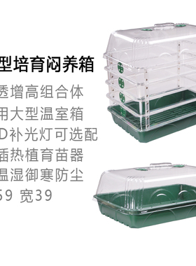 育苗闷养箱培育传播容器5939托盘带高度延长透明箱体温室发芽催根